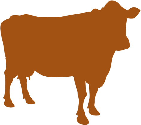 Farm Animal Cow Silhouette - Cow Silhouette (512x512)