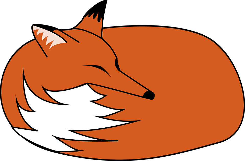 Cartoon Fox Face 23, Buy Clip Art - Rævens Hoved Tegninger (960x632)