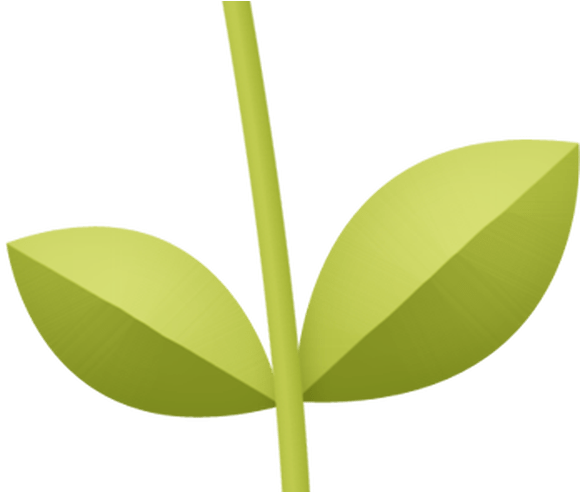 Spring Flower Clip Art Imprimibles De Colores Pinterest - Houseplant (800x491)