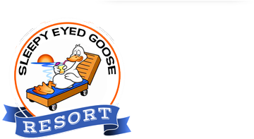 Curtis Hunting - Graphics (1256x203)