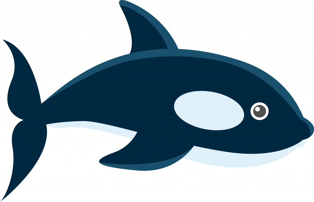 Popular Cartoon Pictures Of Whales Whale Marine Biology - Cetacea (1024x660)