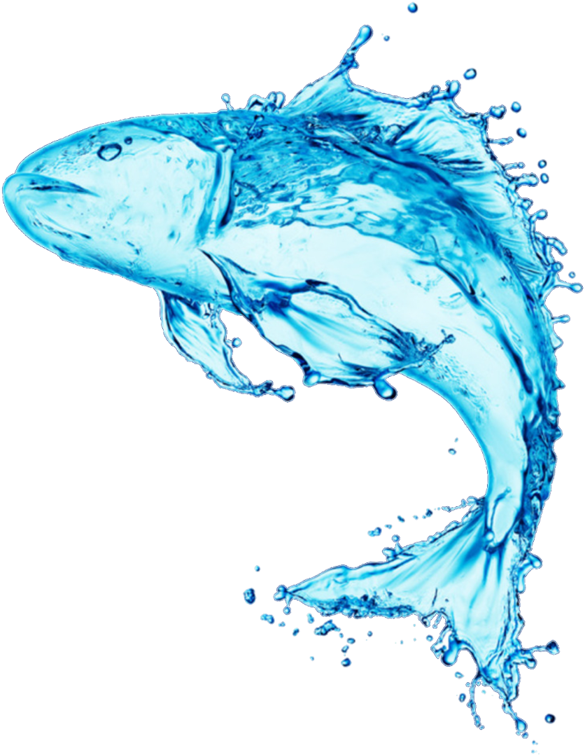 Marine Refrigeration Solutions Rsw Refrigerated Seawater - Fish Symbolism (1500x1166)