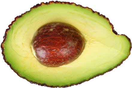 Avocado Clipart Avocado Half - Avocado Sliced In Half (1512x1008)