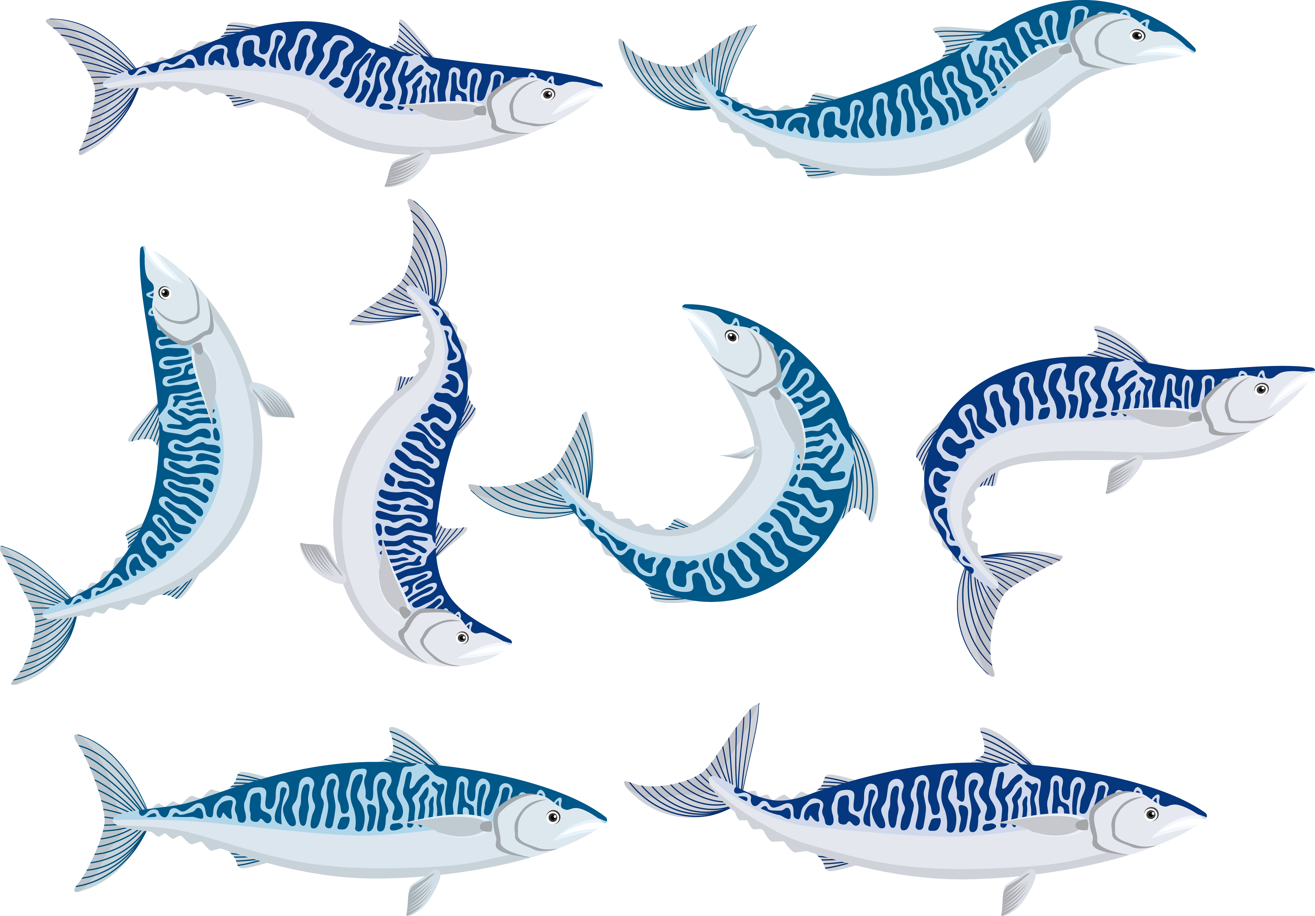 Fish Chub Mackerel - Mackerel Logo (5299x3691)
