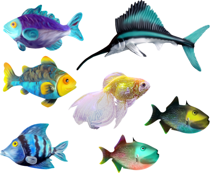 2 Kbytes - Красивые Рыбки Пнг (699x570)