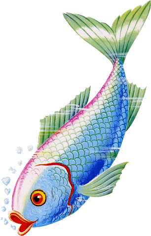 Fish - Balık Gif Hareketli (306x478)