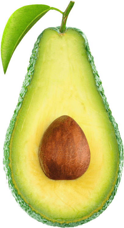 Free Png Avocado Image Png Images Transparent - Avocado Png (480x742)