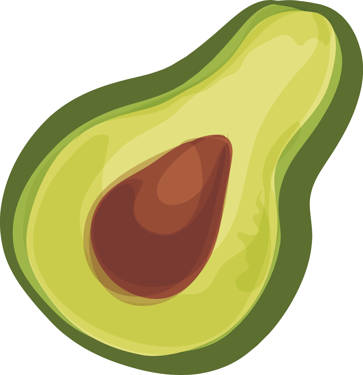 Avocado Euclidean Vector Flat Design - Avocado Vector (1181x1221)
