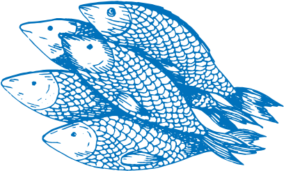 We Buy Local, Fresh Fish Daily - Fish (500x281)