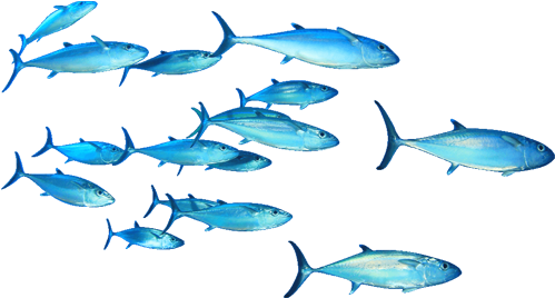 Cms Development - Content Management System (500x463)