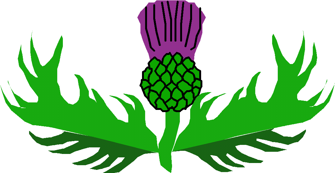 Free Thistle Clipart - Thistle (1128x603)