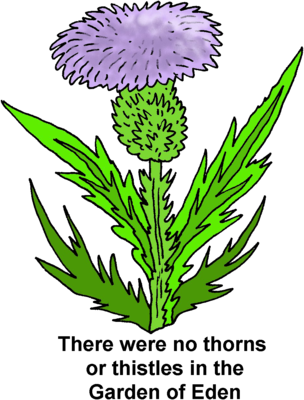 Image Download - Thistles - Thistle (304x400)