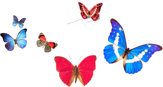 We Make Transformation In You - We Make Transformation In You (600x350)