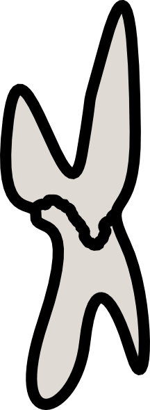 Stalactite/stalagmite - Stalagmite (216x590)