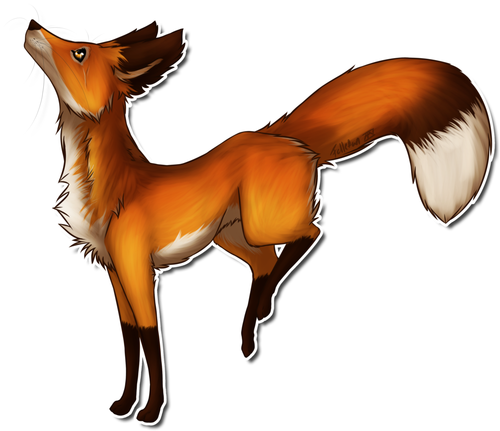 Transparent Fox Drawing - Fox Digital Drawing (1024x883)