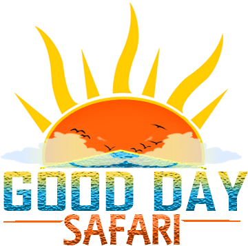 Good Day Safari - Safari (368x356)