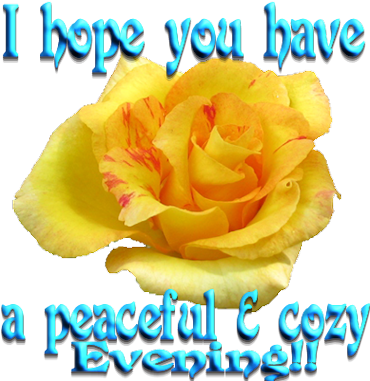 Good Evening Wishes For Facebook And Whatsapp - Good Evening Image With Yellow Rose (380x380)
