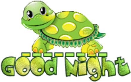 Good Night - Cuteturtle - Happy Mothers Day With A Turtle (500x322)