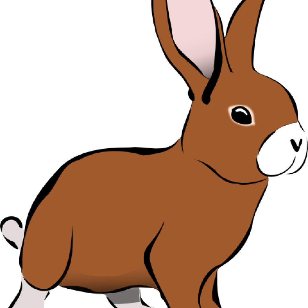 Bunny Clipart Rabbit Panda Free Images - Rabbit Clip Art .png (1024x1024)