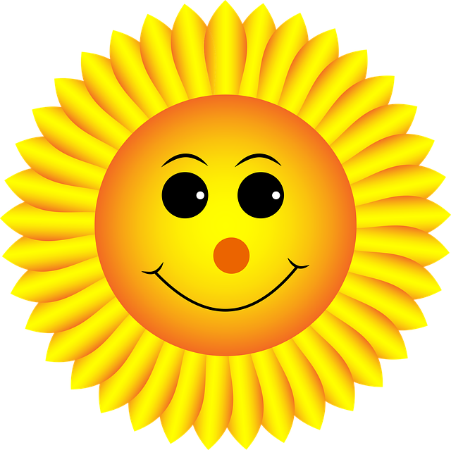 Sunflower, Smiley, Face, Emoji, Emoticon, Emotion - Sunflower Smiley (640x639)