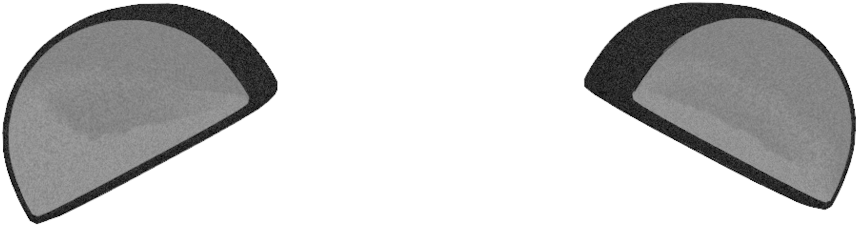 Cat Ears Png - Panda Ears Png (1048x762)