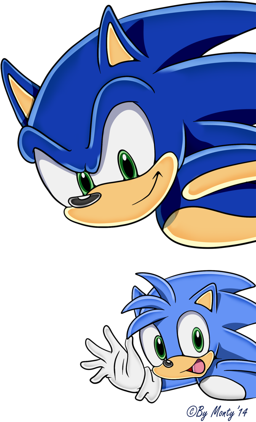 Cute Baby Hedgehog Wallpaper Download - Sonic The Hedgehog And Monty (900x1429)