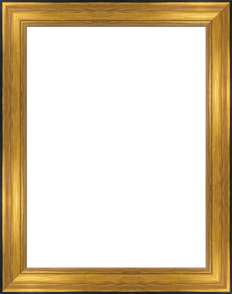 Freme Png Gold (338x428)