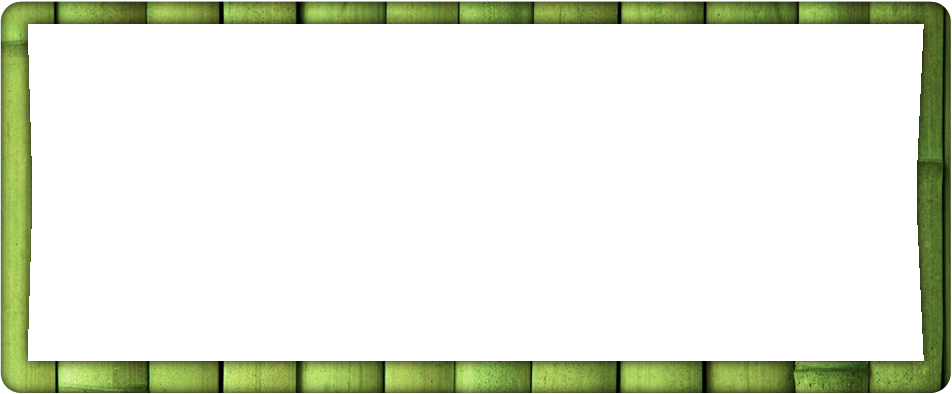 African Safari Specialist Washington - Screenshot (952x394)