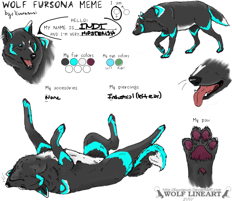 Indi- Wolf Fursona Meme By Dunkass - Wolf Fursona (800x700)