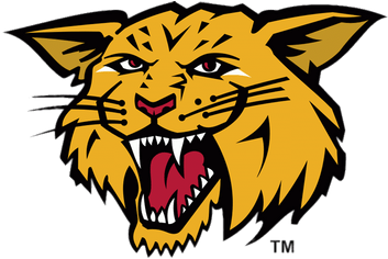 Moncton Wildcats Mascotte - Moncton Wildcats (400x400)
