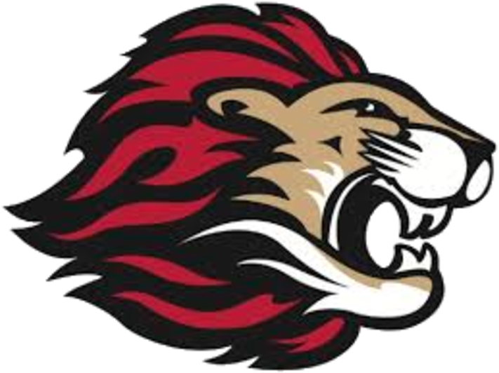 Spring Grove Lions Football (720x539)