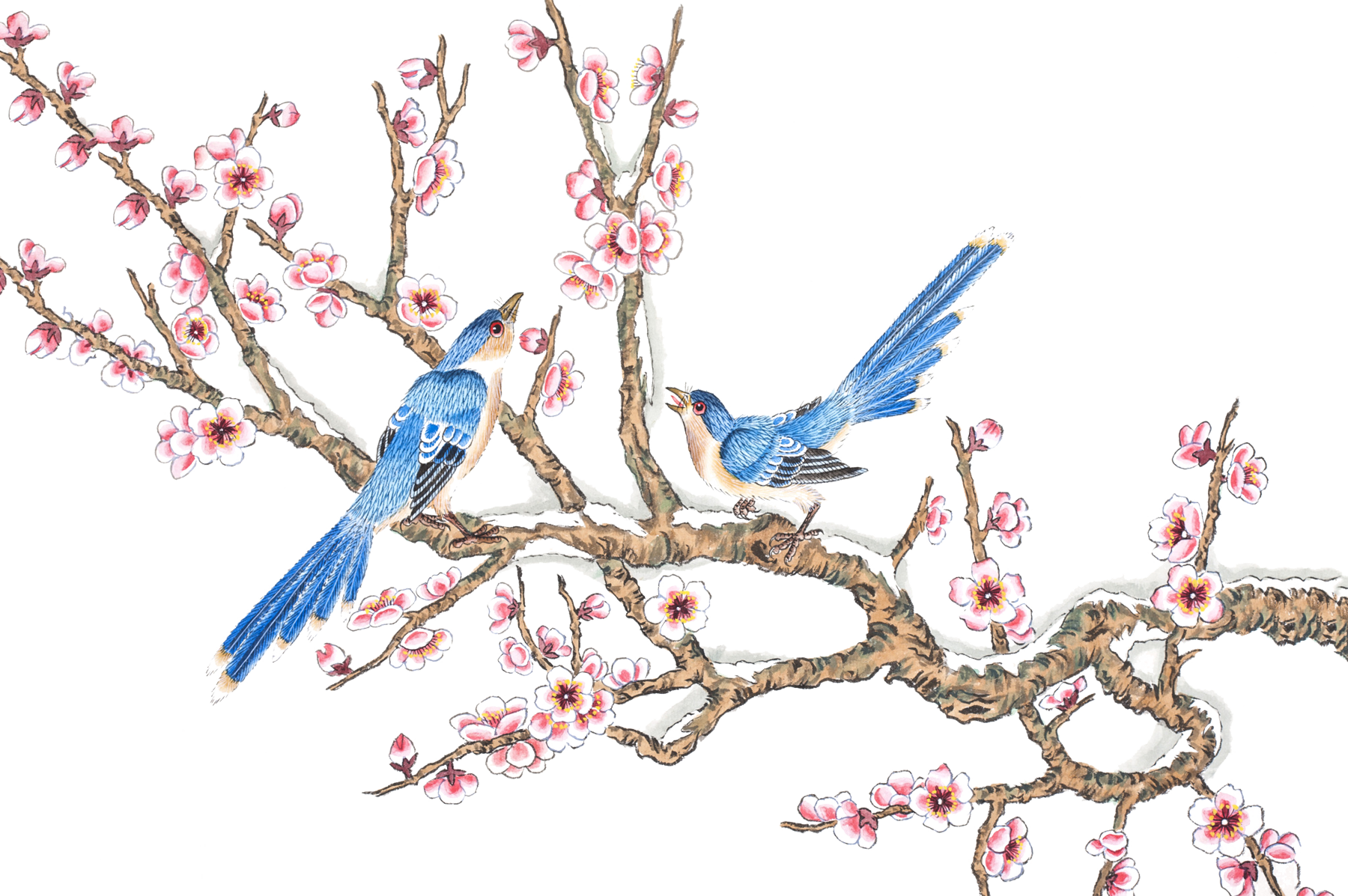 Bird And Flower Painting Chinese Painting Ink Wash - Bird-and-flower Painting (1800x1197)