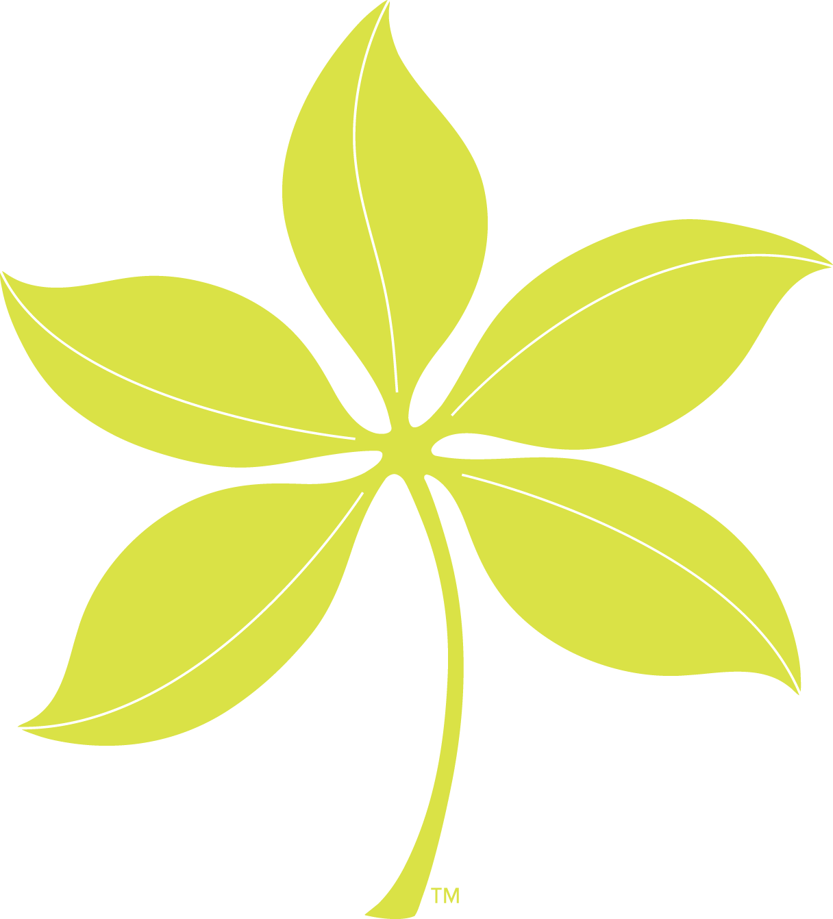 Spring - Microsoft Word (1216x1342)