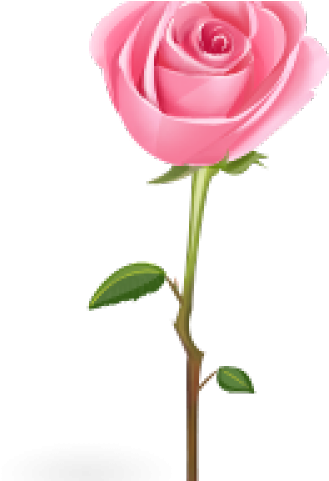 Pink Rose Clipart - Rose Icon (640x480)