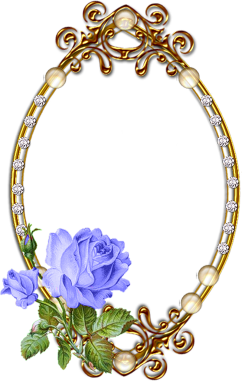 Blue Roses Frames - Pour (800x1259)