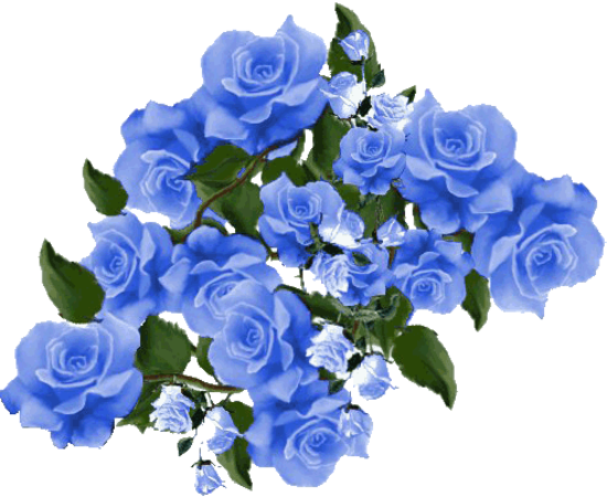 Blue Roses - Assalam O Alaikum In Urdu (550x450)
