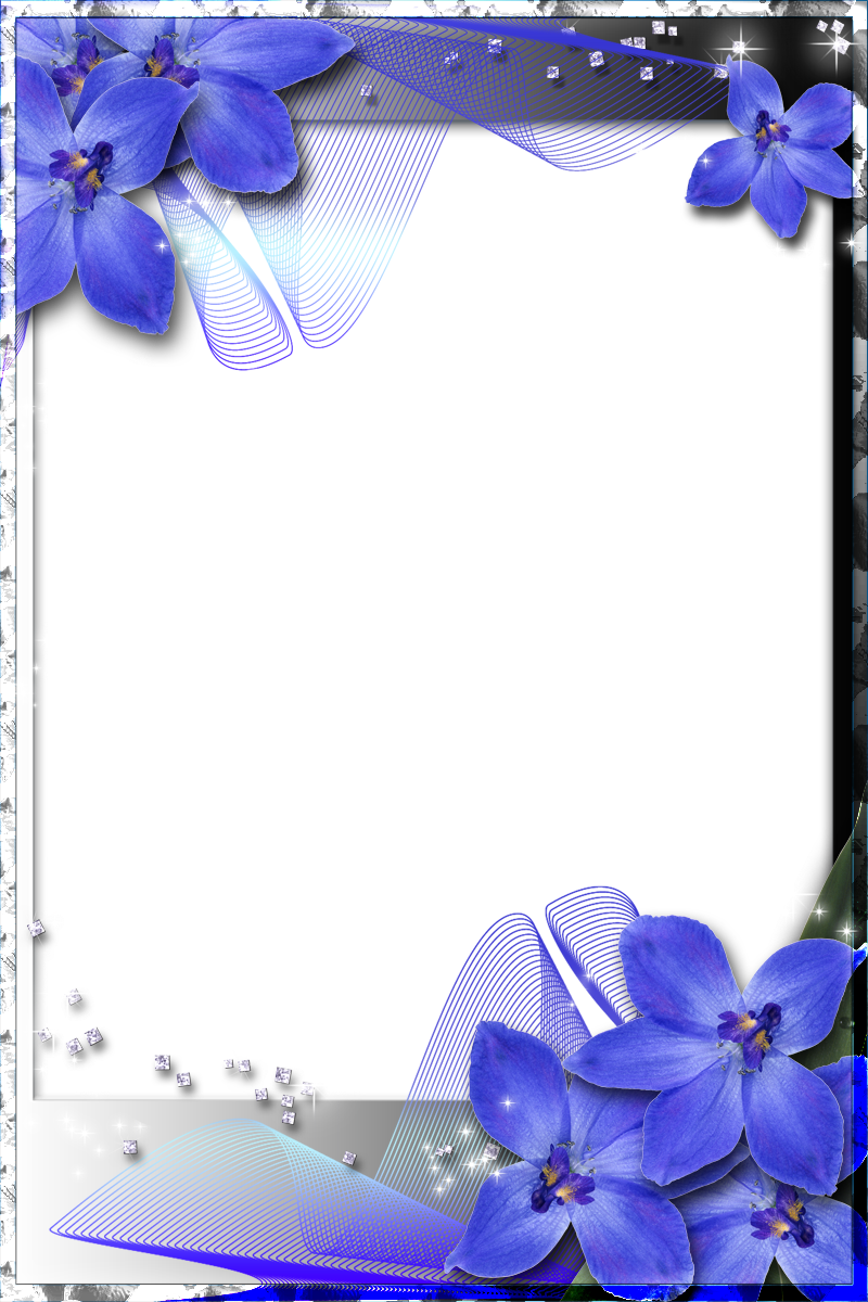 Beautiful Transparent Frame With Blue Orchids - Blue Wedding Borders And Frames (800x1200)