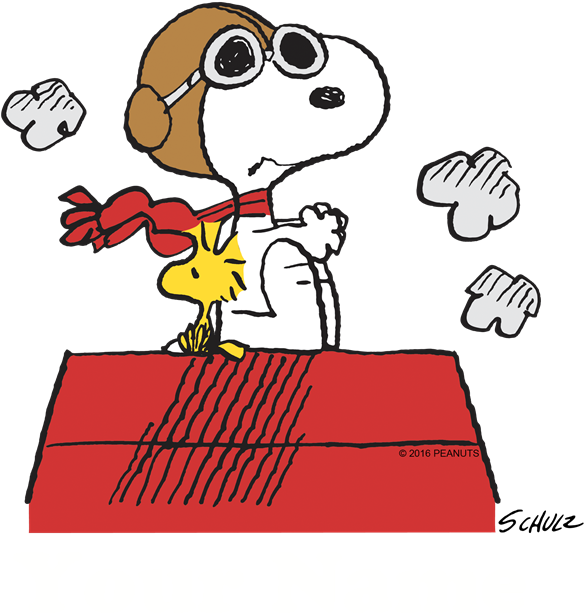 Favorite - Band-aid Peanuts Bandages (700x700)