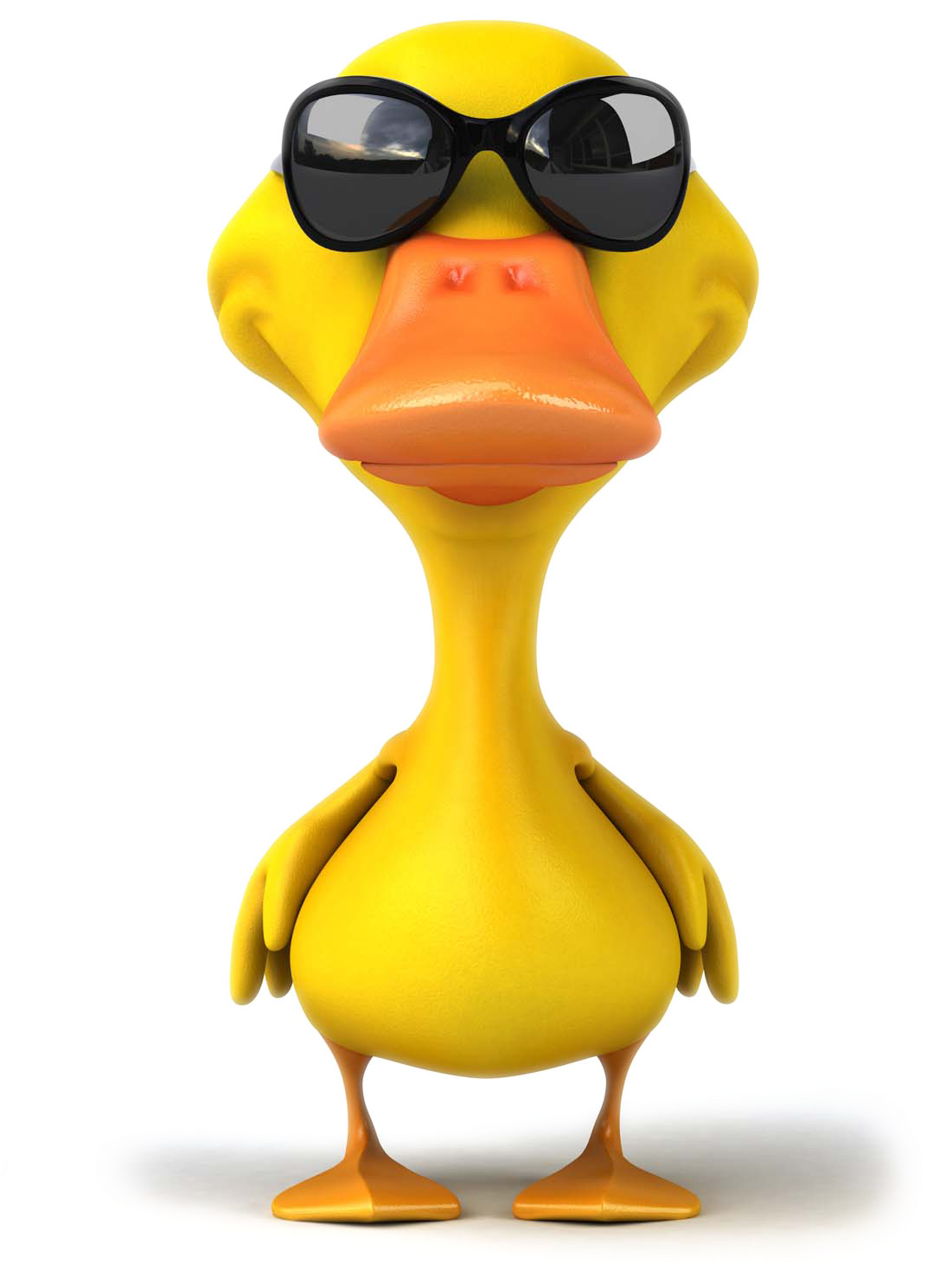 Pato Ánade Real De La Fotografía De Stock Ilustración - Duck With Sunglasses Cartoon (1100x1571)