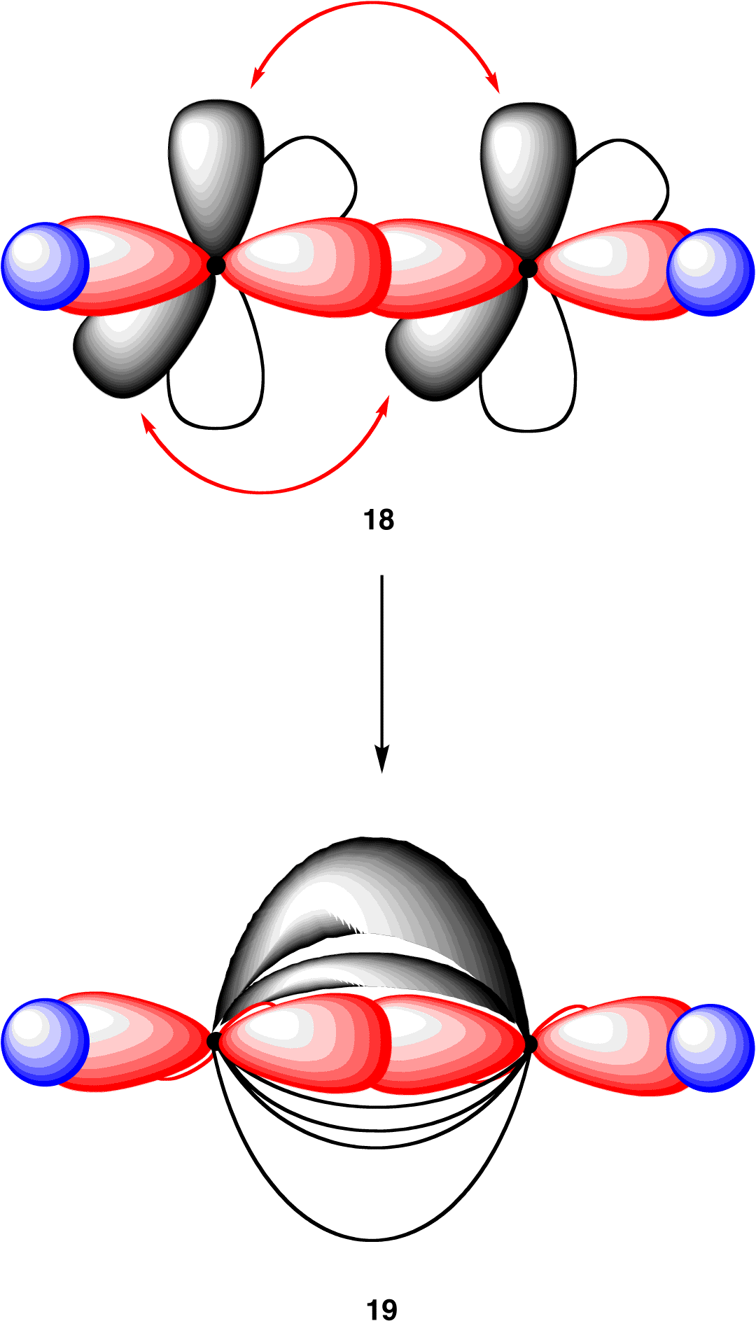 Atom Has An Octet Of Valence Electrons - Carbon Hydrogen Hybridization (1098x1912)