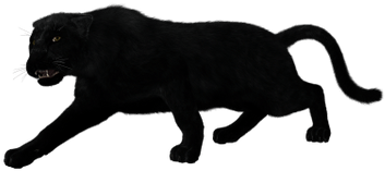 Black Panther Full Body - Black Panther Animal Png (400x400)