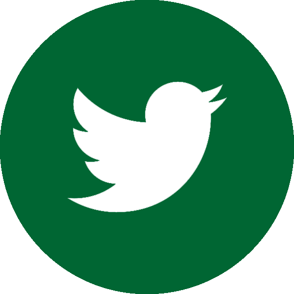 Rainforest Qa (600x600)