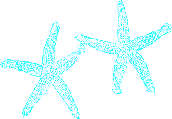 Starfish Clipart Gclipart - Aqua Starfish Clipart (600x415)