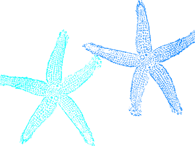 Starfish Clipart Blue Starfish - Fish Clip Art (640x480)