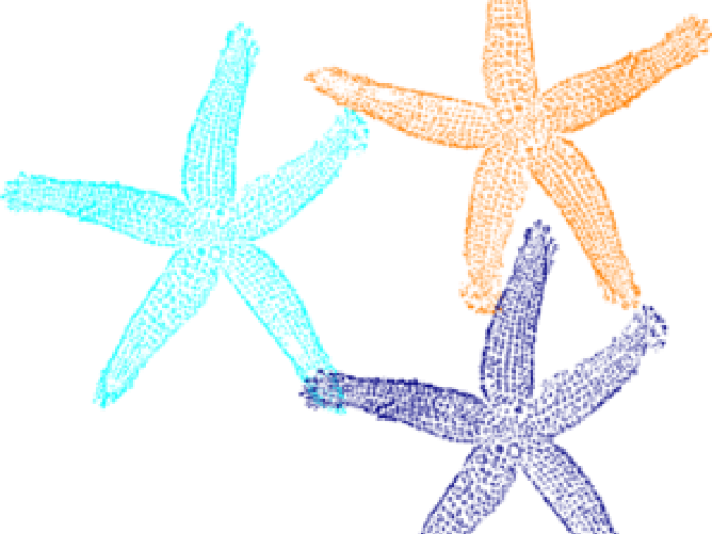 Starfish Cliparts-vector - Fish Clip Art (640x480)
