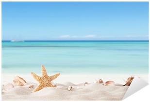 Dekor Sommar Strand Med Strafish Och Snäckor • Pixers® - Sea Canvas Wall Art,starfish Conch Beach Rt Decoration,framed (400x400)