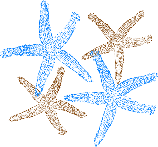 Beach Wedding Clip Art (600x559)