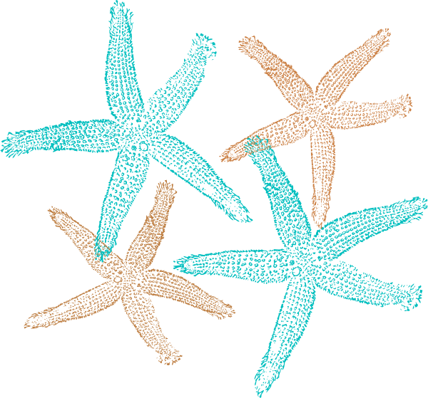 Starfish Prints Svg Clip Arts 600 X 559 Px - Transparent Background Starfish Clipart (600x559)