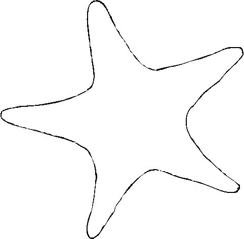 Candy Starfish - Seashell (482x472)