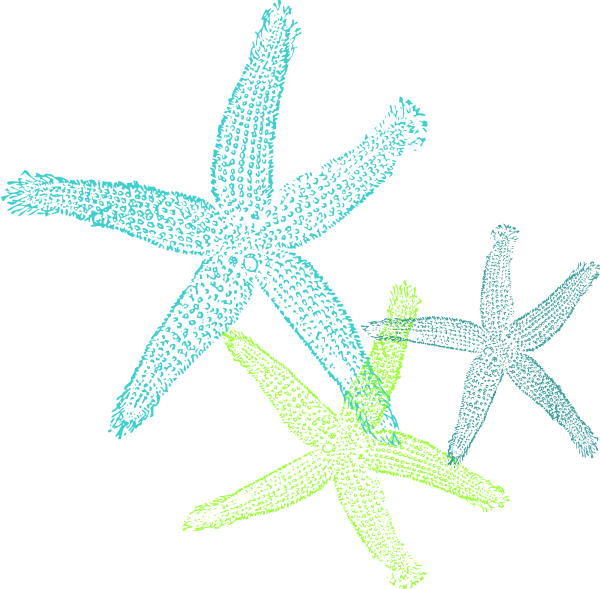 This Free Clip Arts Design Of Turquoise Green Starfish - Fish Clip Art (600x589)